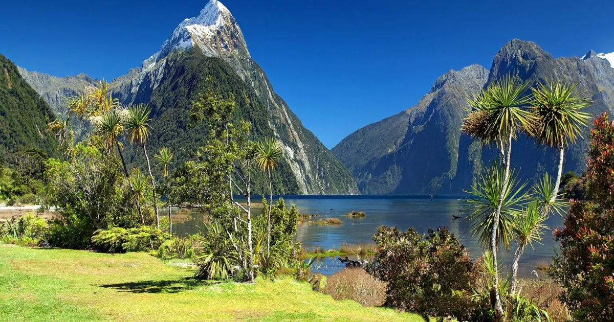Remadores da Nova Zelândia: Nós poderíamos sobreviver numa ilha deserta!