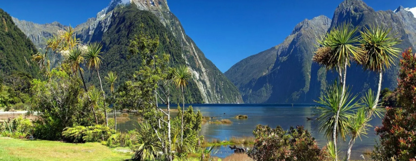 Nova Zelândia é eleita o melhor lugar do mundo para sobreviver a um colapso global