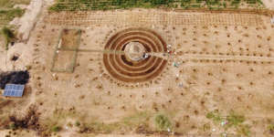 Jardins circulares senegaleses podem conter o avanço do Saara