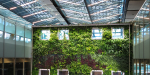 Futuro Verde: Quais Habilidades Serão Cobradas Dos Profissionais De Arquitetura?