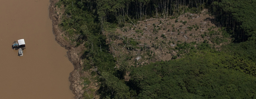 Plataforma digital vai medir cobertura vegetal no Brasil sob a ótica do novo Código Florestal