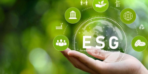 ESG: notas sobre o surgimento no plano internacional e nacional da proteção ambiental