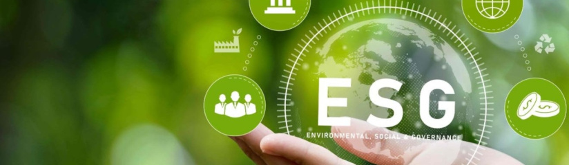 ESG: notas sobre o surgimento no plano internacional e nacional da proteção ambiental